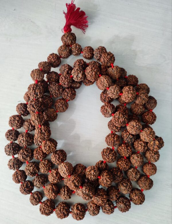 5 Mukhi Nepali Rudraksha Beads
