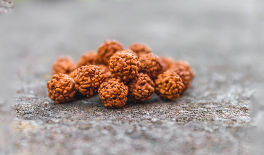 Different Types Of Rudraksha And Their Benefits - Gemswisdom