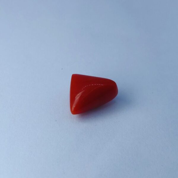 Triangle red coral 7.76 ct 2