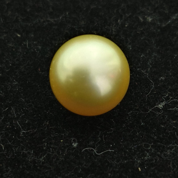 Natural  Golden South Sea pearl 11.21 Ct (12.45 Ratti) - Image 2